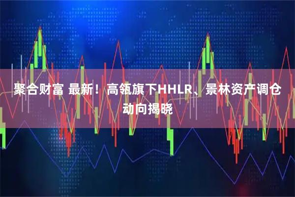 聚合财富 最新！高瓴旗下HHLR、景林资产调仓动向揭晓