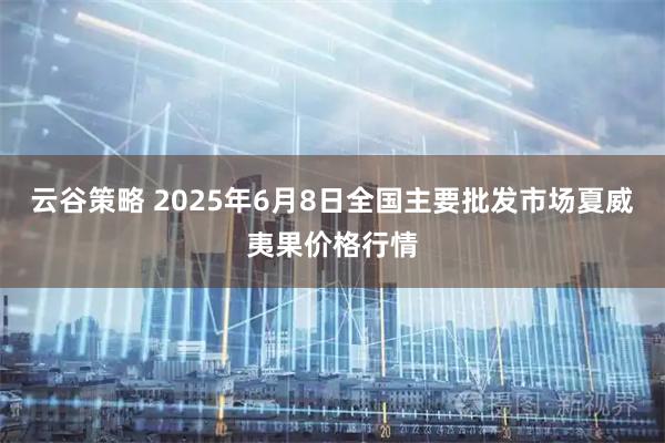 云谷策略 2025年6月8日全国主要批发市场夏威夷果价格行情