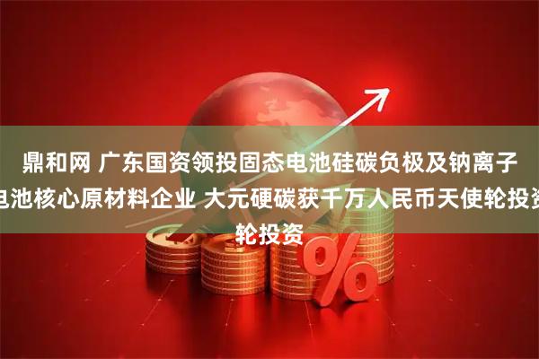 鼎和网 广东国资领投固态电池硅碳负极及钠离子电池核心原材料企业 大元硬碳获千万人民币天使轮投资