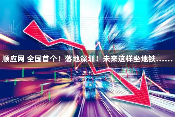 顺应网 全国首个！落地深圳！未来这样坐地铁……