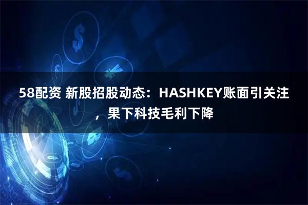 58配资 新股招股动态:HASHKEY账面引关注,果下科技毛利下降